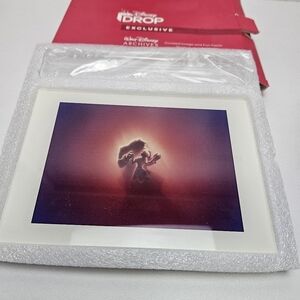 Beauty and the beast artwork acrylic frame